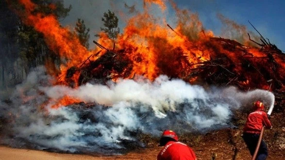 Στο έλεος του καύσωνα και των πυρκαγιών η Ευρώπη